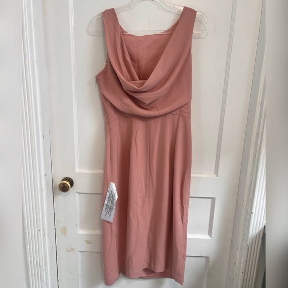 NWT $188 Dress the Population MacKenna Blush Midi
Dress Size M - Picture 5 of 8